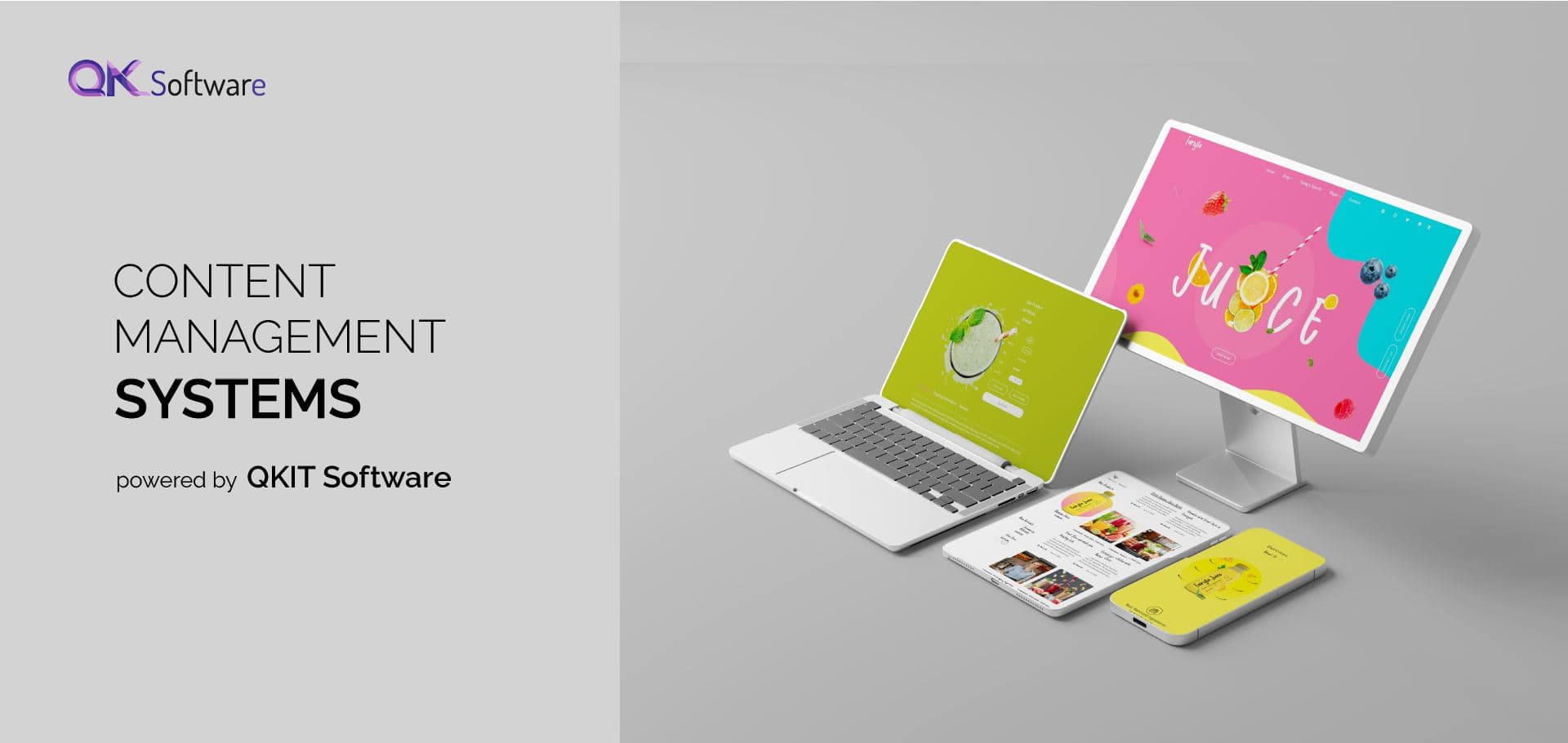 Custom Headless CMS Development Case Study - Project showcase image